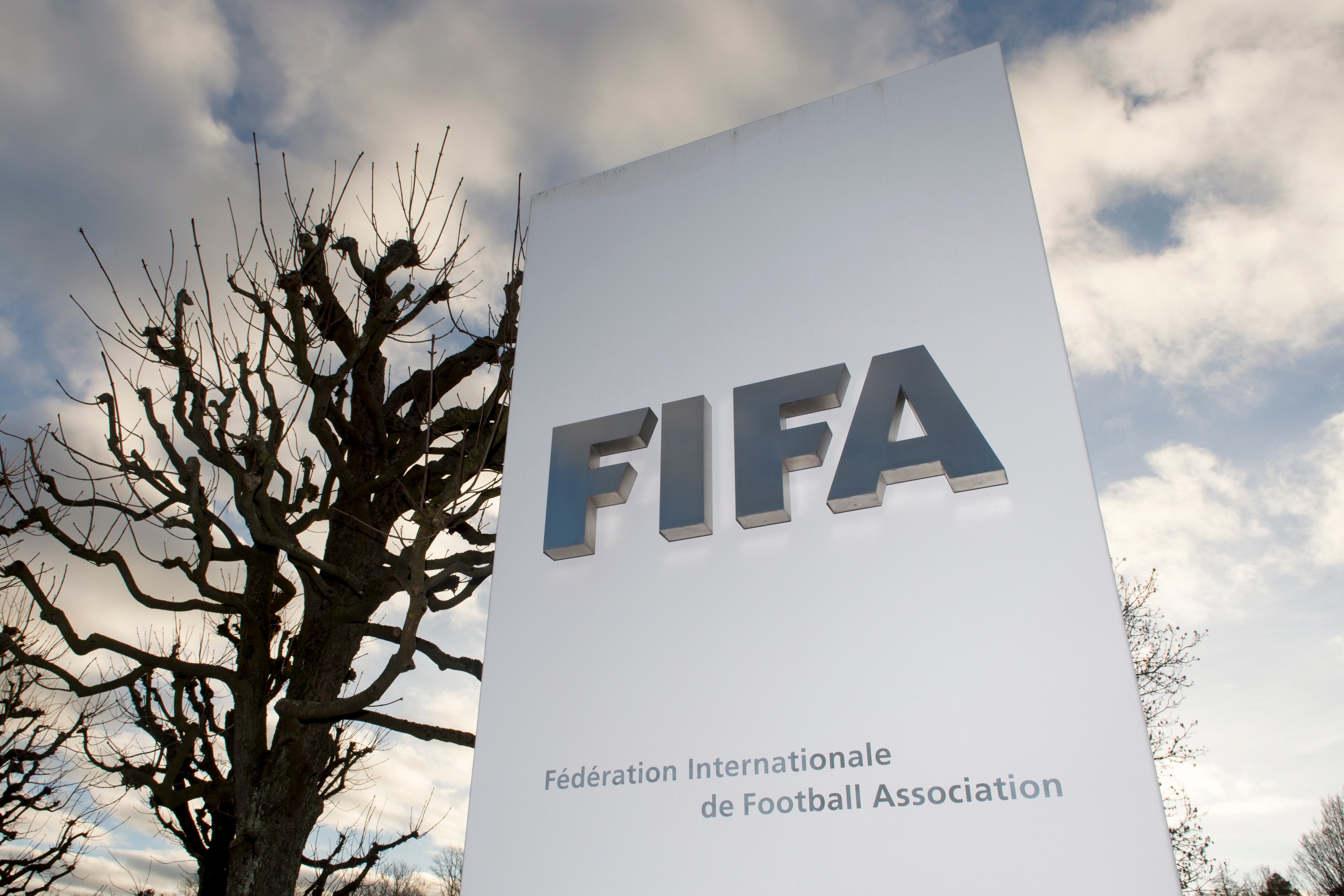 Fifa want to expand the Club World Cup and organise a month-long tournament in 2025.