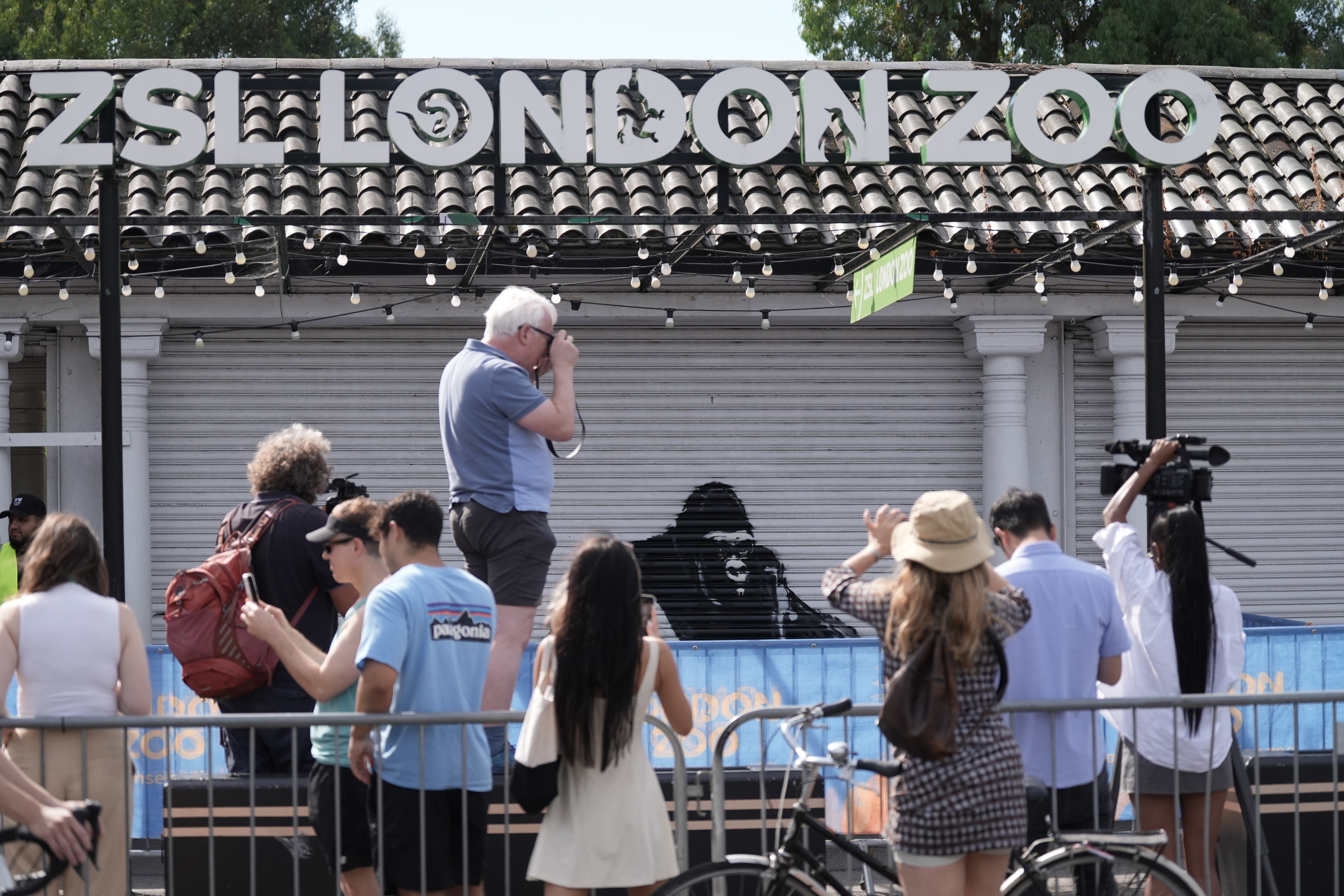 Artwork unveiled by Banksy at London Zoo (Stefan Rousseau/PA)