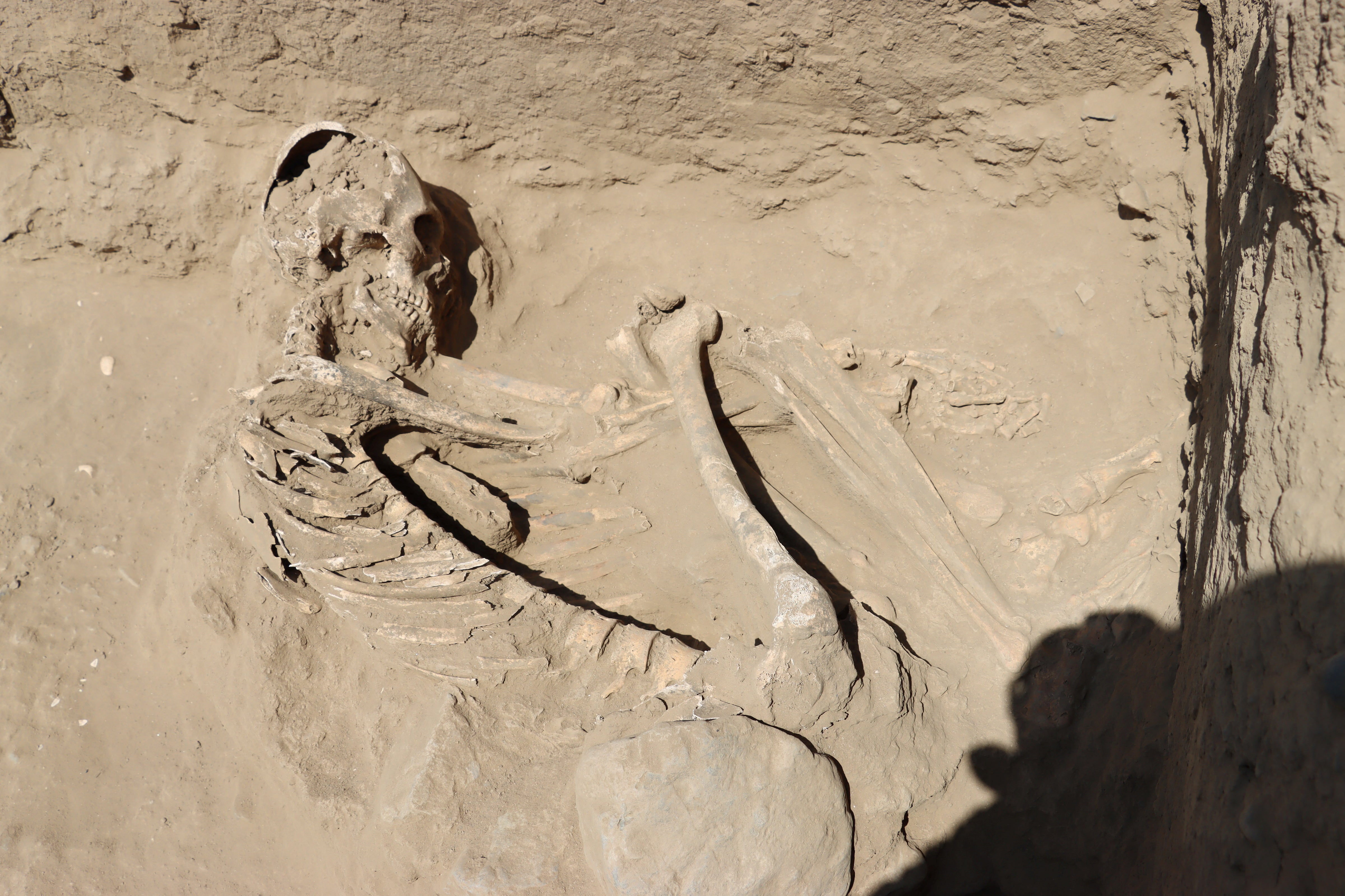 Human remains are pictured after they were discovered by archaeologists at burial sites from around 3,800 years ago.