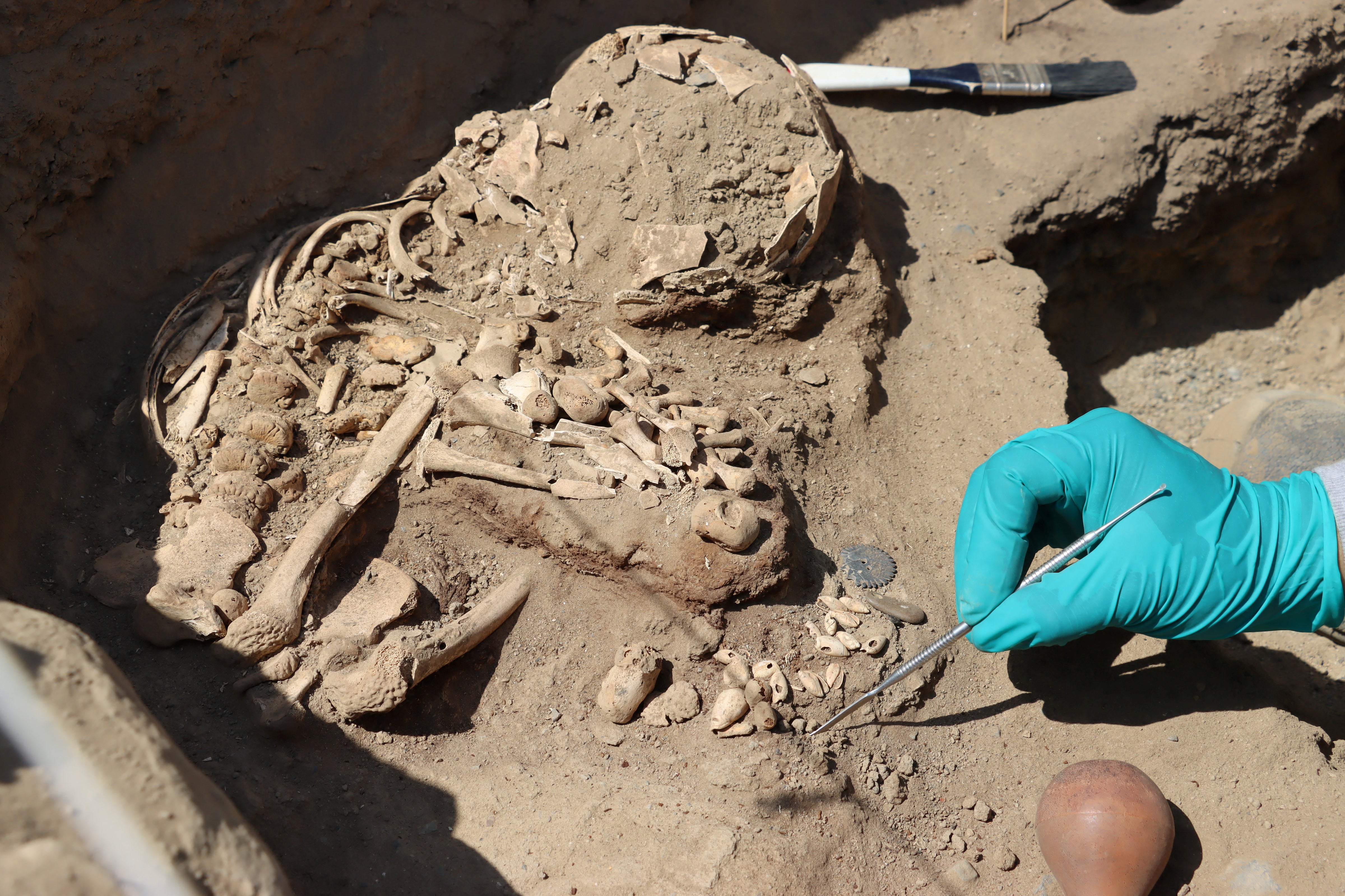 An archaeologist cleans an area where human remains were discovered at burial sites from around 3,800 years ago, in La Libertad, Peru August 9, 2024