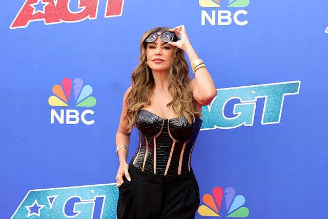 <p>Sofia Vergara responds to Joe Manganiello’s claims about divorce</p>