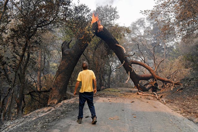 Climate-Farmworkers-Wildfire Smoke