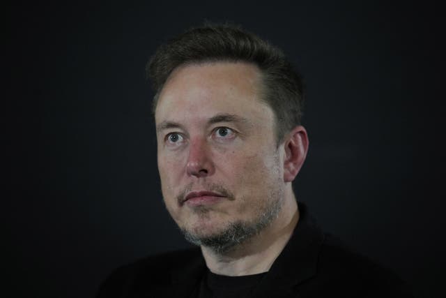 <p>Elon Musk has been criticised (Kirsty Wigglesworth/PA)</p>