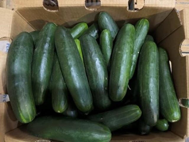 <p>More than 400 people have become sick after consuming cucumbers believed to be linked to products recalled by the Food and Drug Administration earlier this year</p>