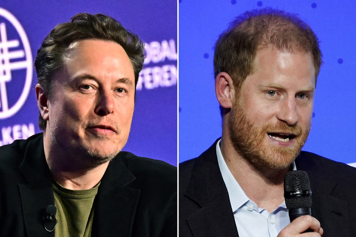 Prince Harry takes veiled swipe at Elon Musk over social media misinformation