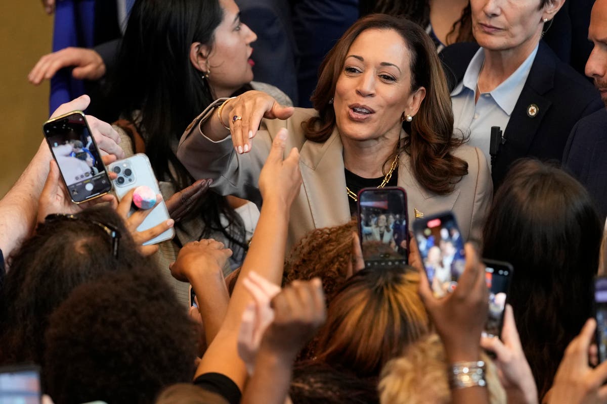 Watch live: Kamala Harris delivers first major economy speech of 2024 campaign