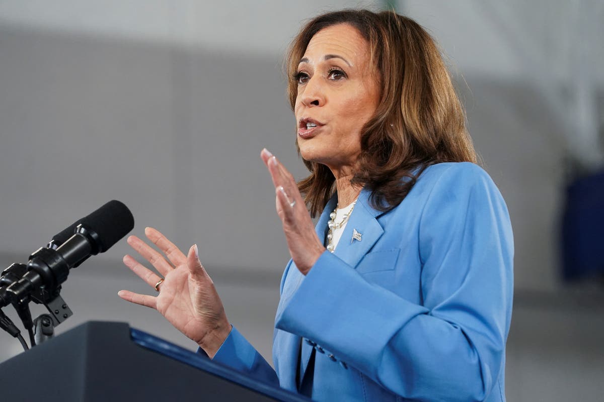 Kamala Harris lays out her economic plans at rally in battleground North Carolina