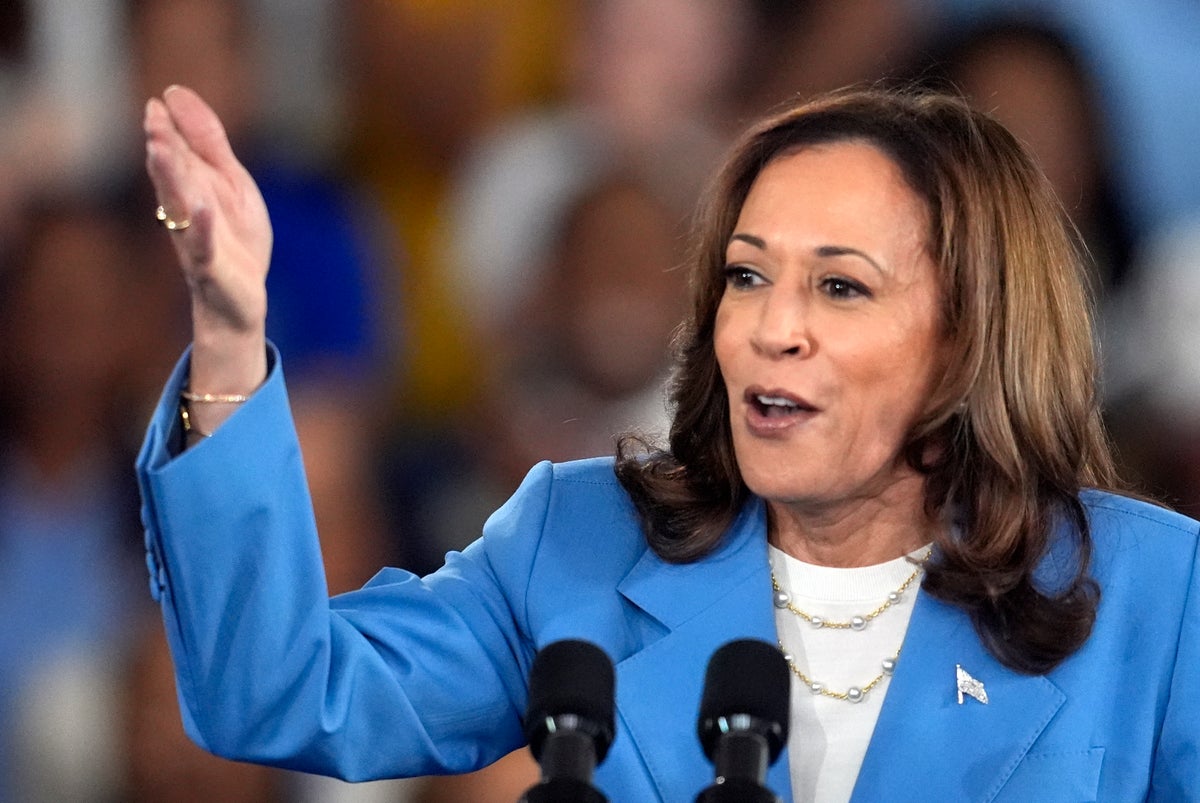 Kamala Harris outlines plans for first federal ban on food ‘price gouging’