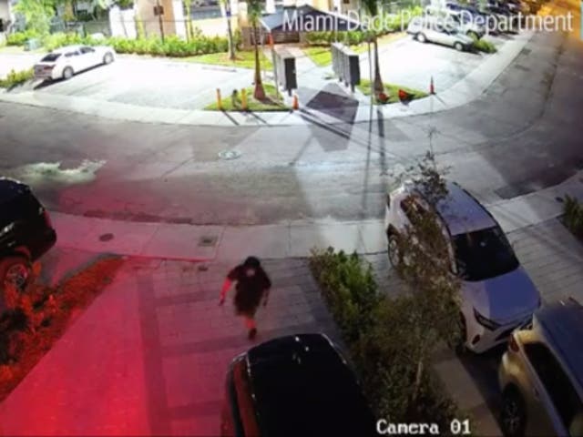 <p>Surveillance footage showing the August 27, 2019, attempted murder of celebrity car designer Alex Vega</p>