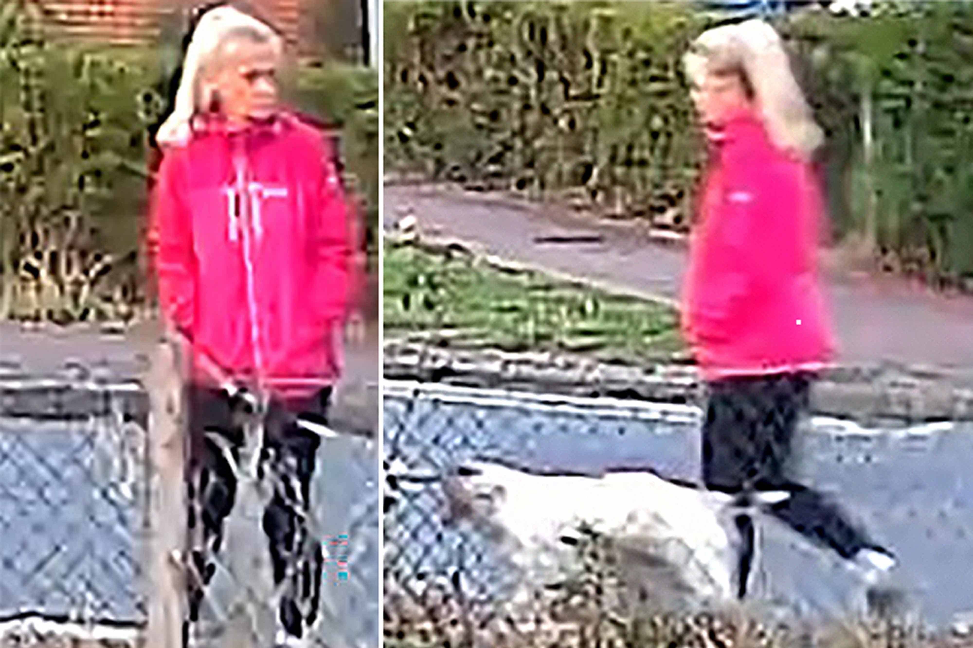 CCTV images of Anita Rose (Suffolk Police/PA)