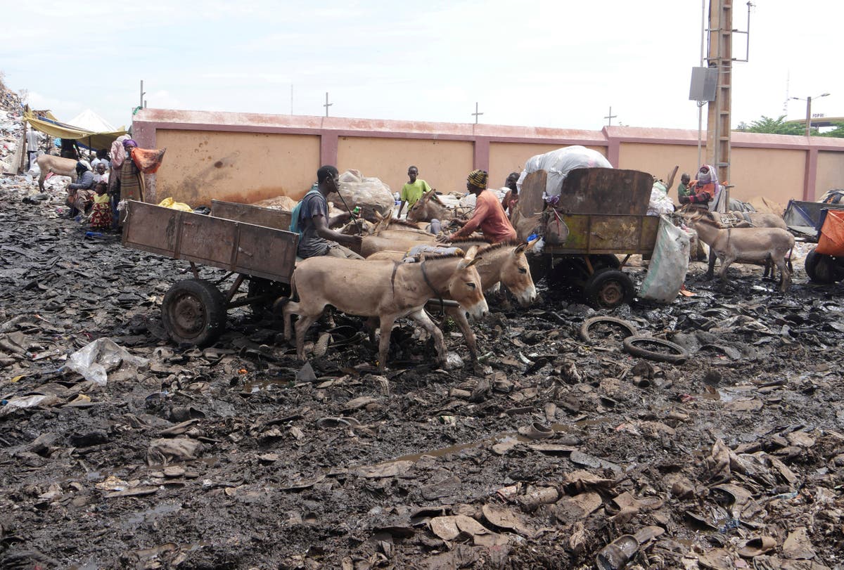 The trash in Mali's capital is piling up. Donkey carts are coming to help