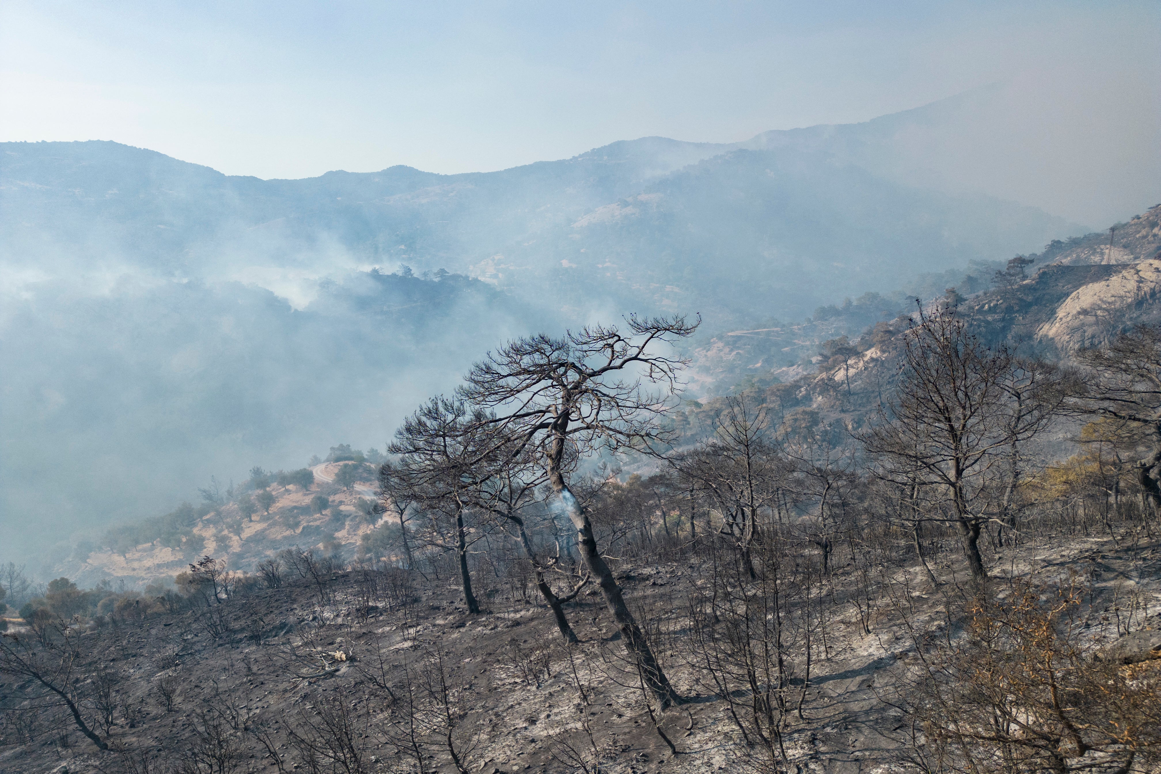 This aerial photograph shows a forest area partially burnt and with smoke emanating from wildfires in Turkey's western province of Izmir on August 17, 2024