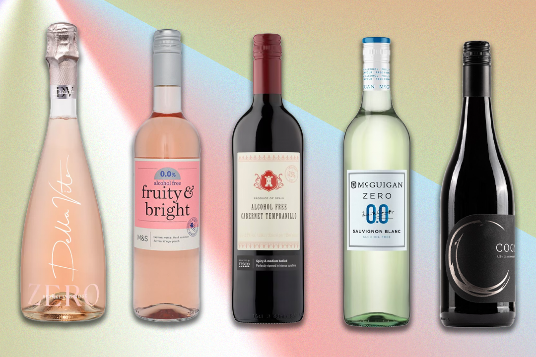 16 best non-alcoholic wines to enjoy, including red, white and sparkling