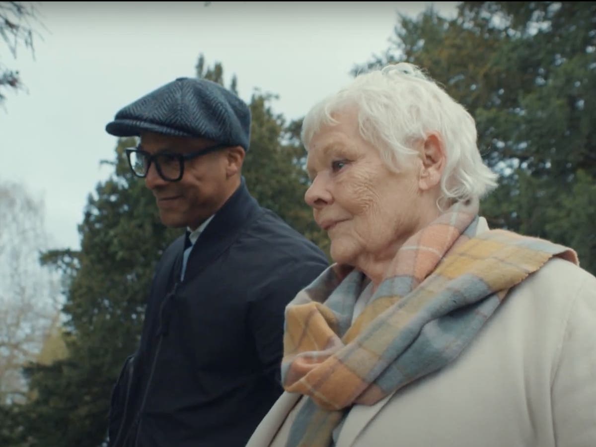 How Judi Dench and Jay Blades paired up to save sleepy summer telly