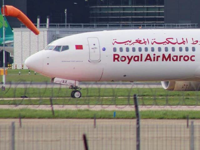 <p>Up to scratch? Royal Air Maroc Boeing 737, of the type which experienced the insect issue</p>