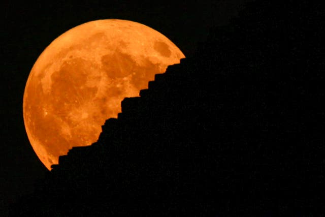 APTOPIX SCI-Supermoon Egypt