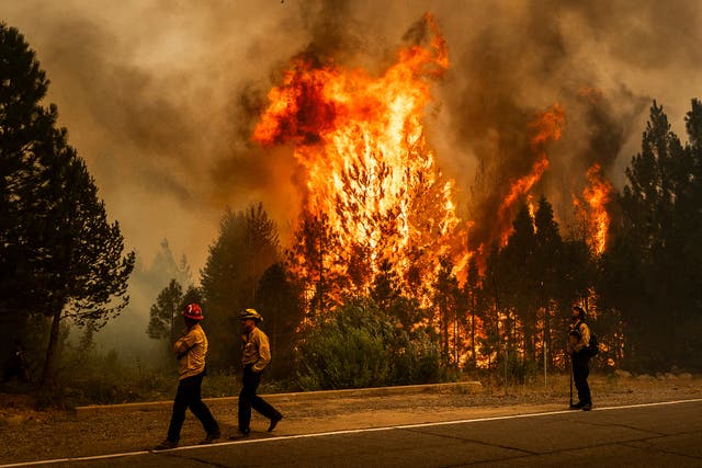 California Wildfires