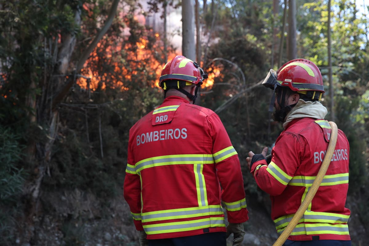 Tourists stranded at Madeira Airport as flights cancelled due to wildfires