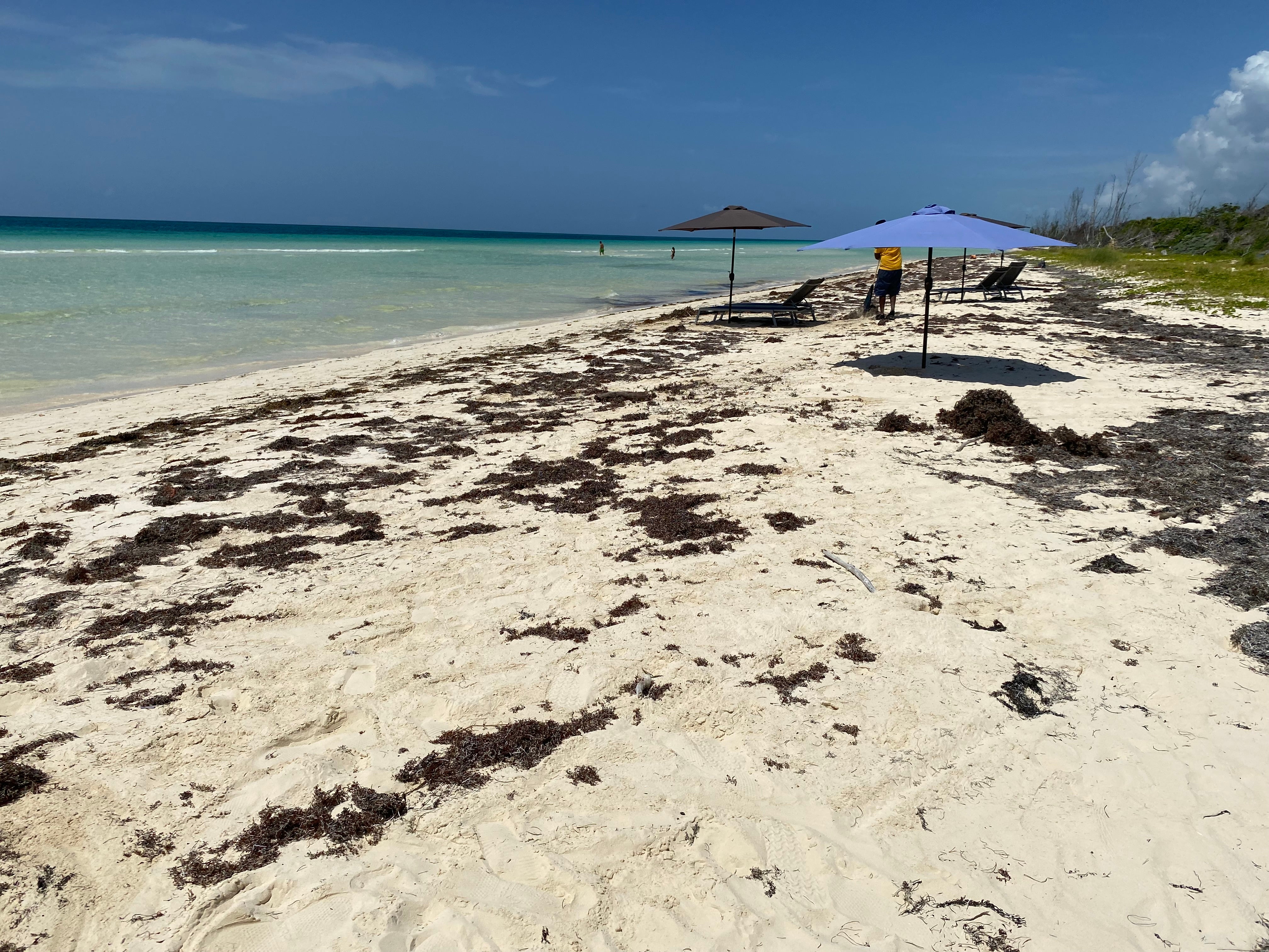 Praia deserta de Gold Rock em Grand Bahama (Roz McKenzie/PA)