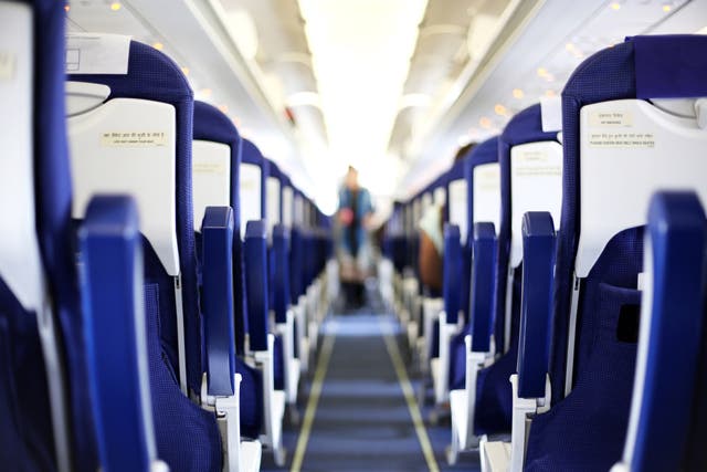 <p>Women will see other female passengers marked in pink during online check-in </p>