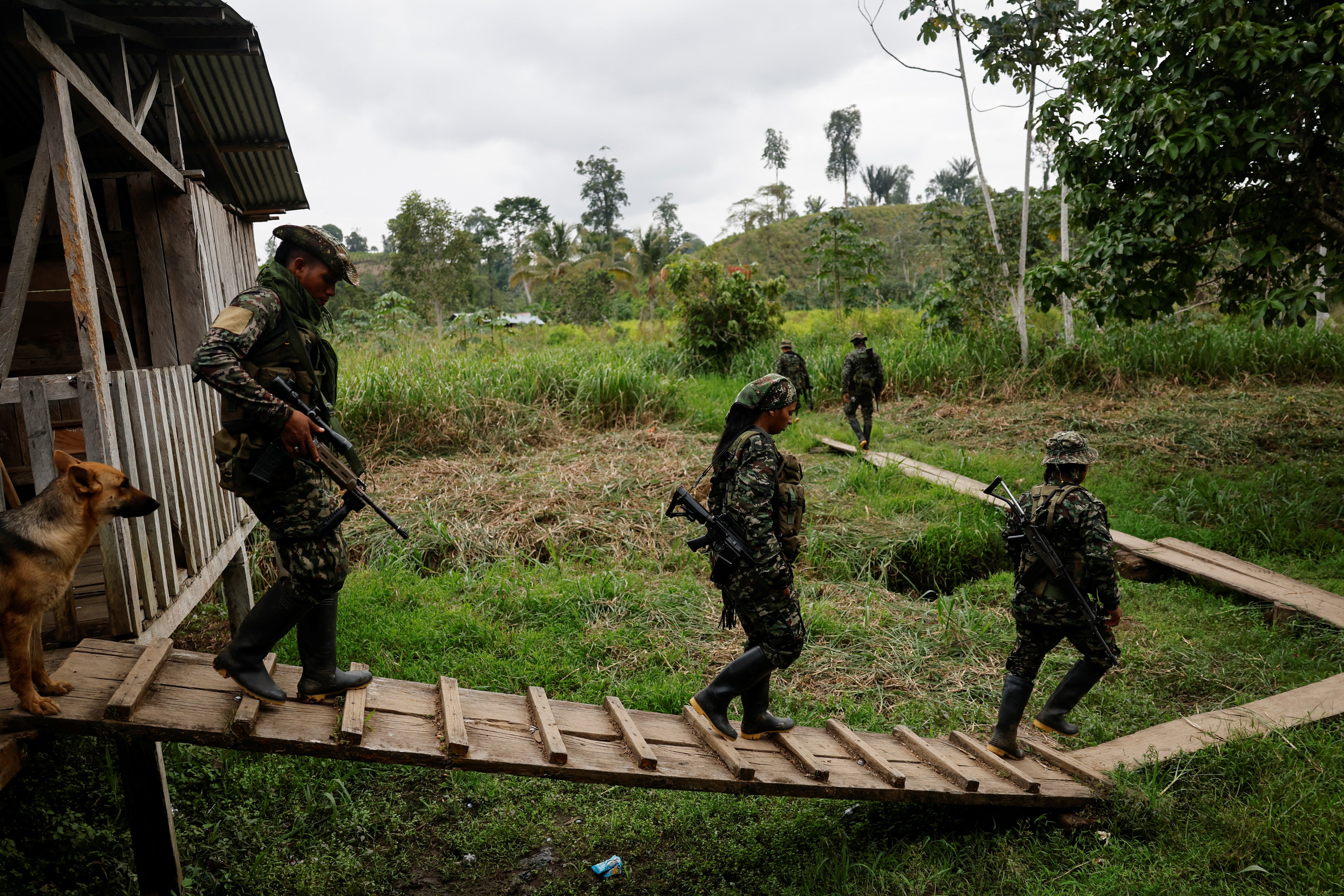 Guerrillas of Colombian rebel group Segunda Marquetalia head out to patrol the area while walking at a base camp