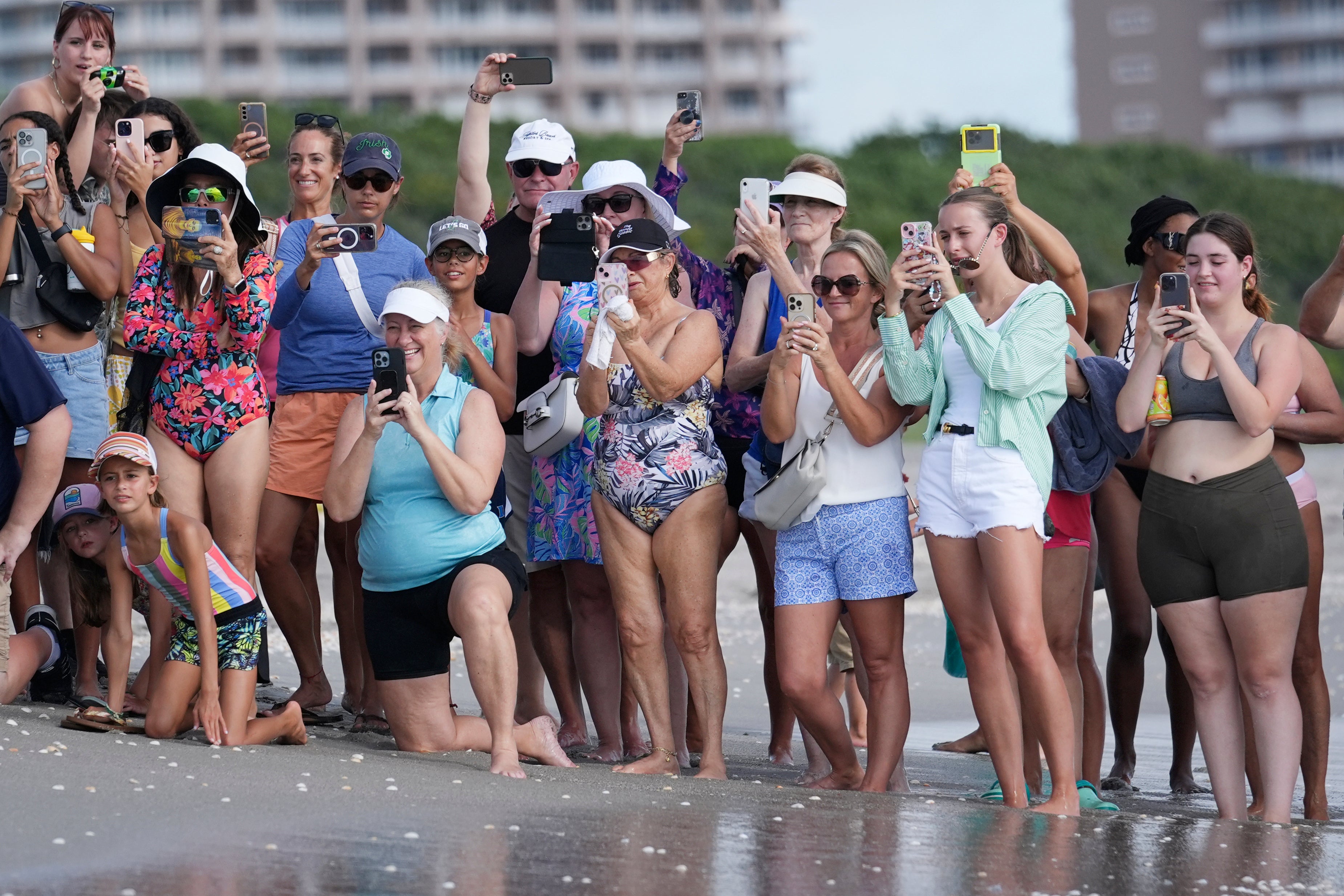 Sea Turtle Release