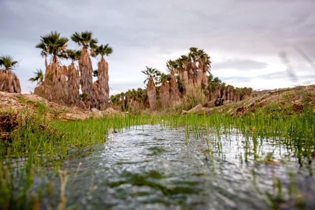 Lithium Drilling Arizona Tribe