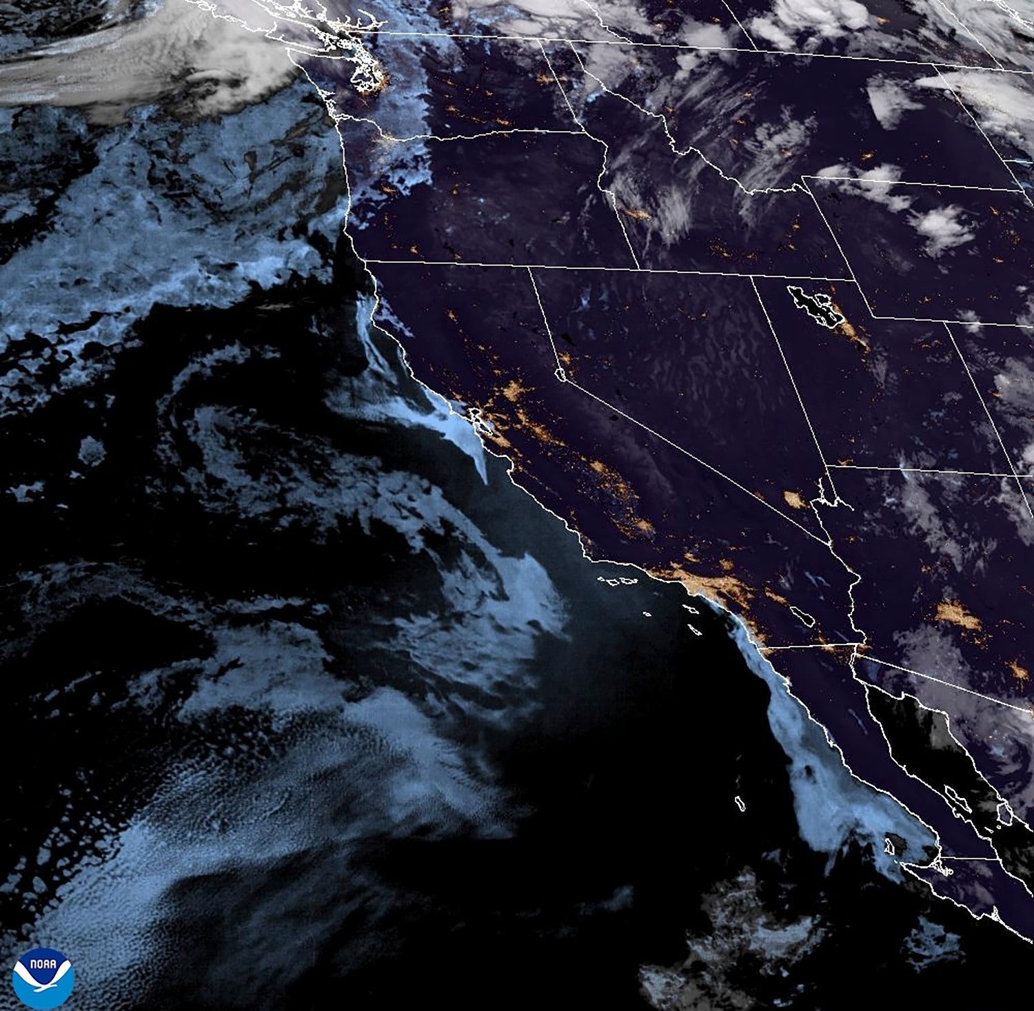 Tropical Weather-Pacific