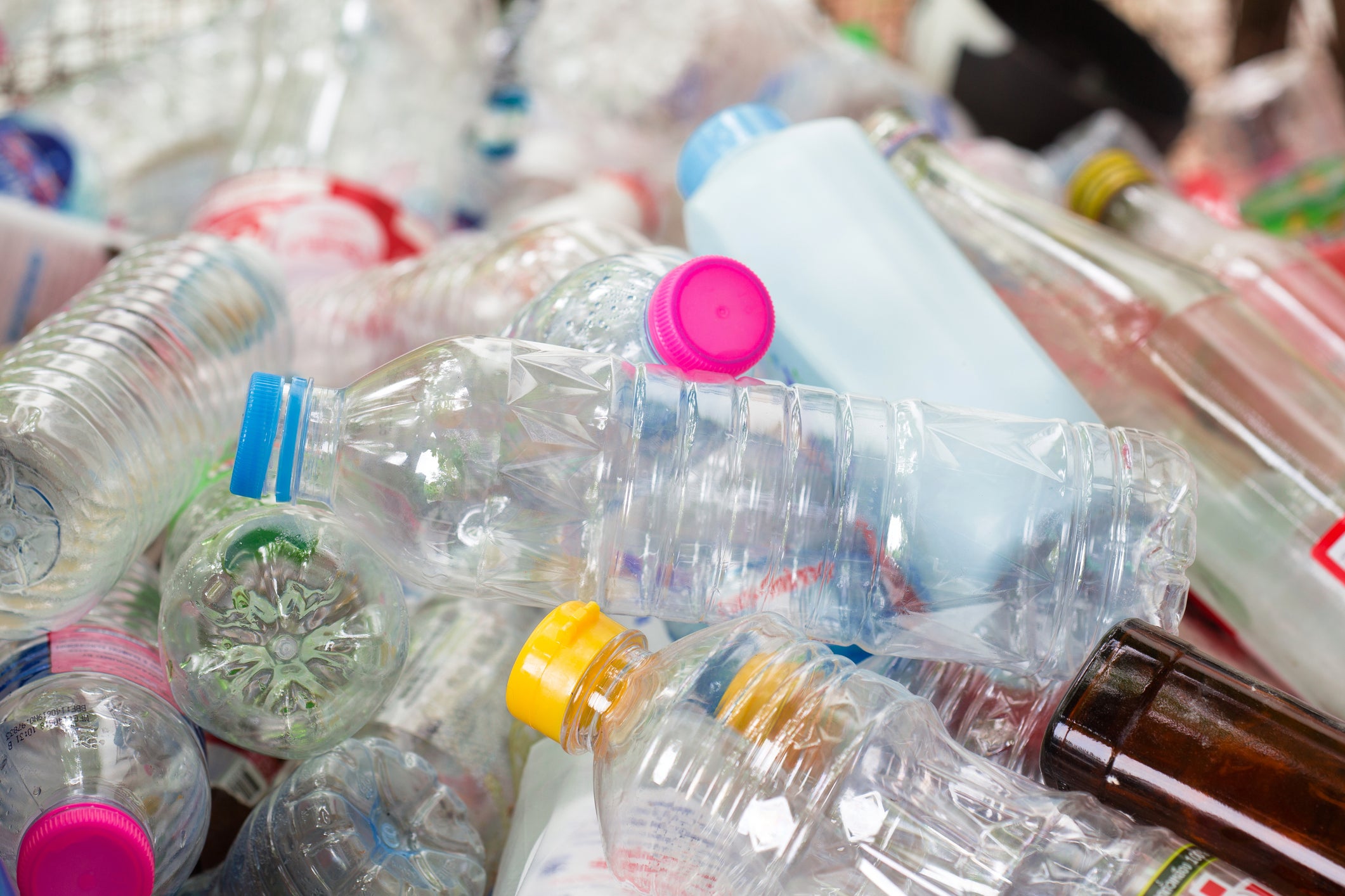 Plastic bottles can take 500 years to decompose in landfills