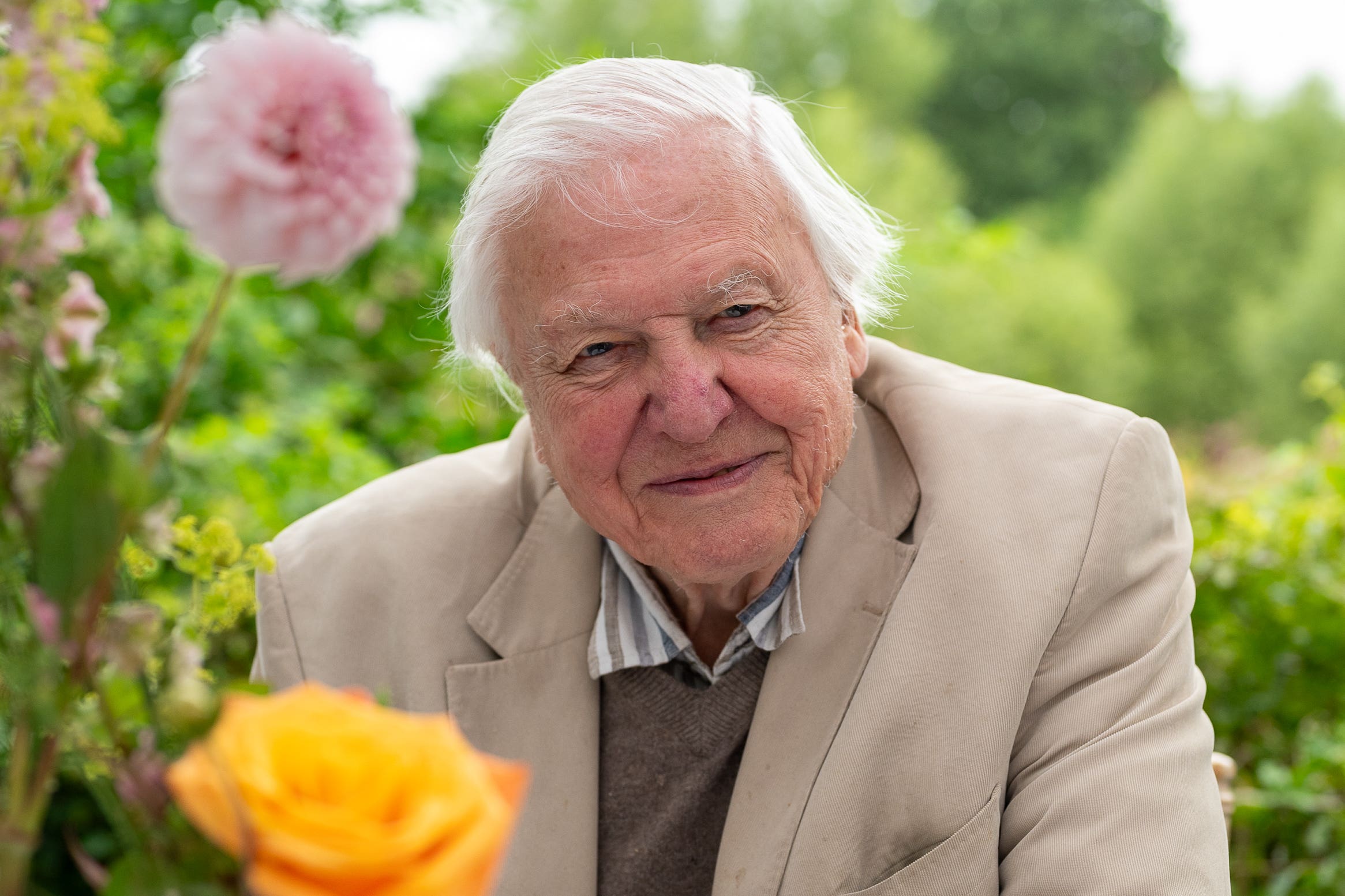 Mel Stride’s voice reminded people of Sir David Attenborough (Broni Lloyd-Edwards/Wildlife Trusts)