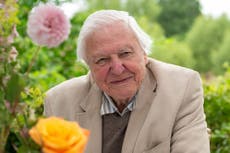 Sir David Attenborough honoured for supporting wildlife charities over 60 years