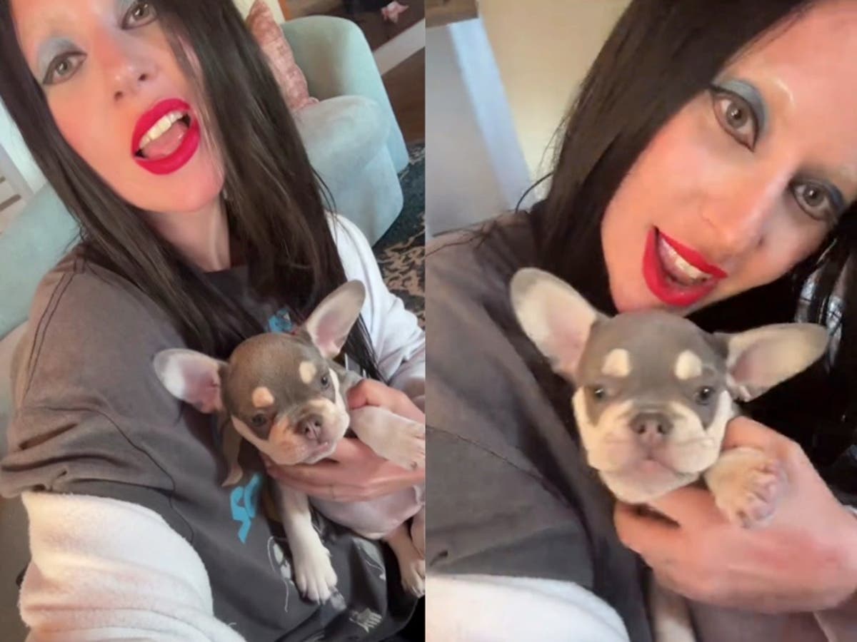 Lady Gaga Introduces New Puppy on TikTok