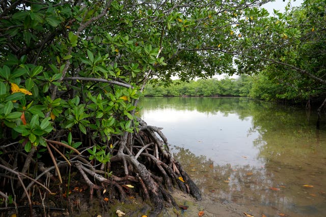Florida State Parks Development