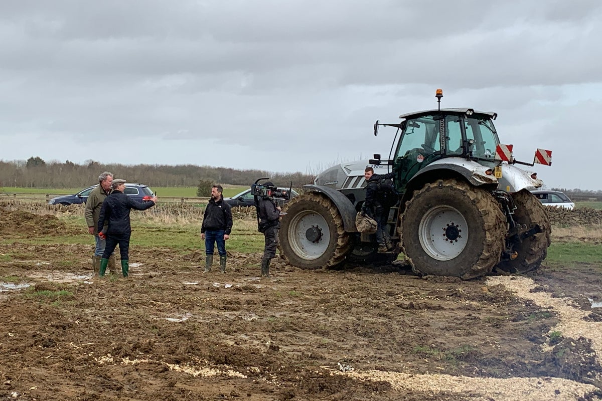 What to know about bovine tuberculosis as disease hits Diddly Squat Farm