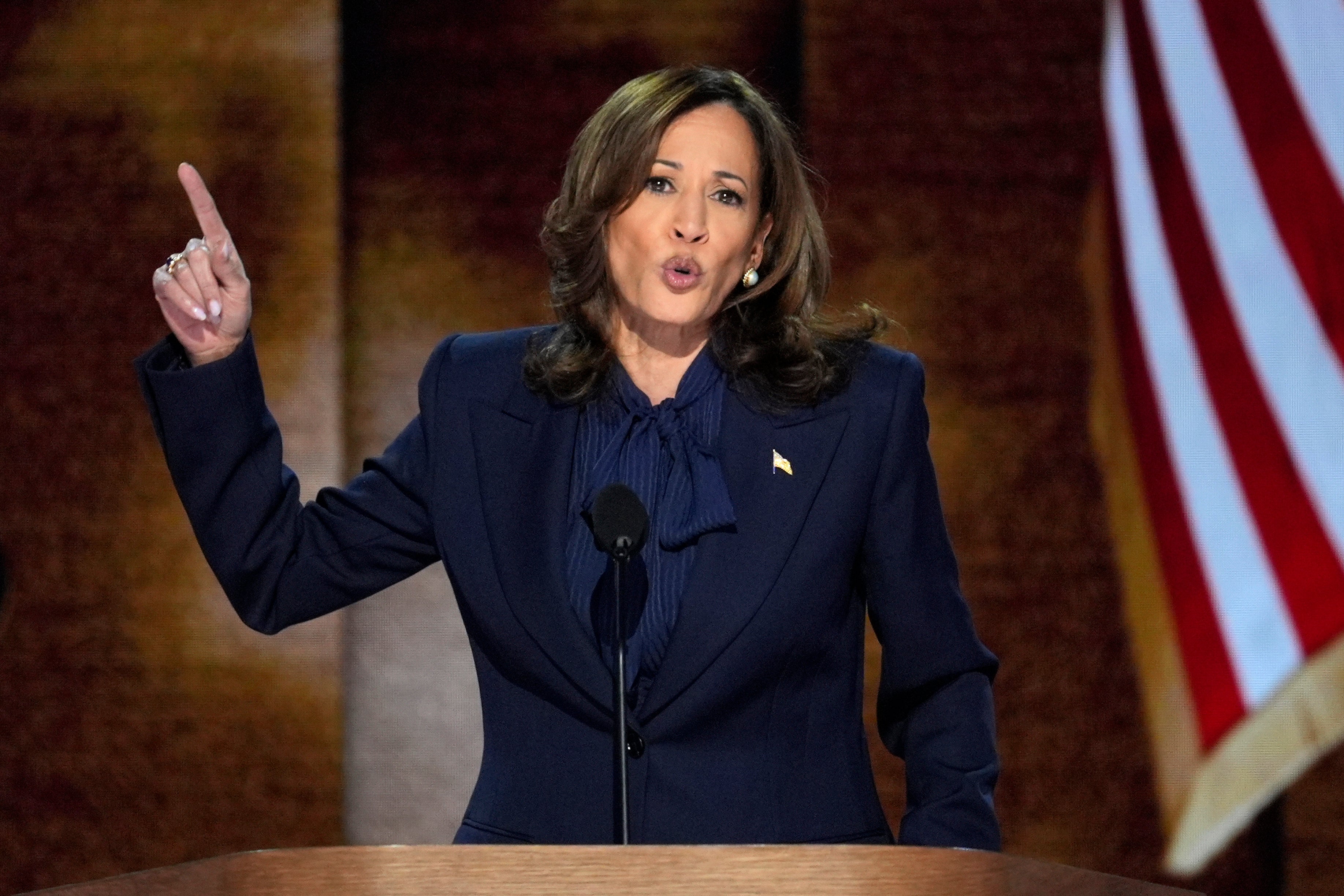 <p>Democratic presidential nominee Vice President Kamala Harris speaks during the Democratic National Convention Thursday, Aug. 22, 2024, in Chicago. (AP Photo/J. Scott Applewhite)</p>