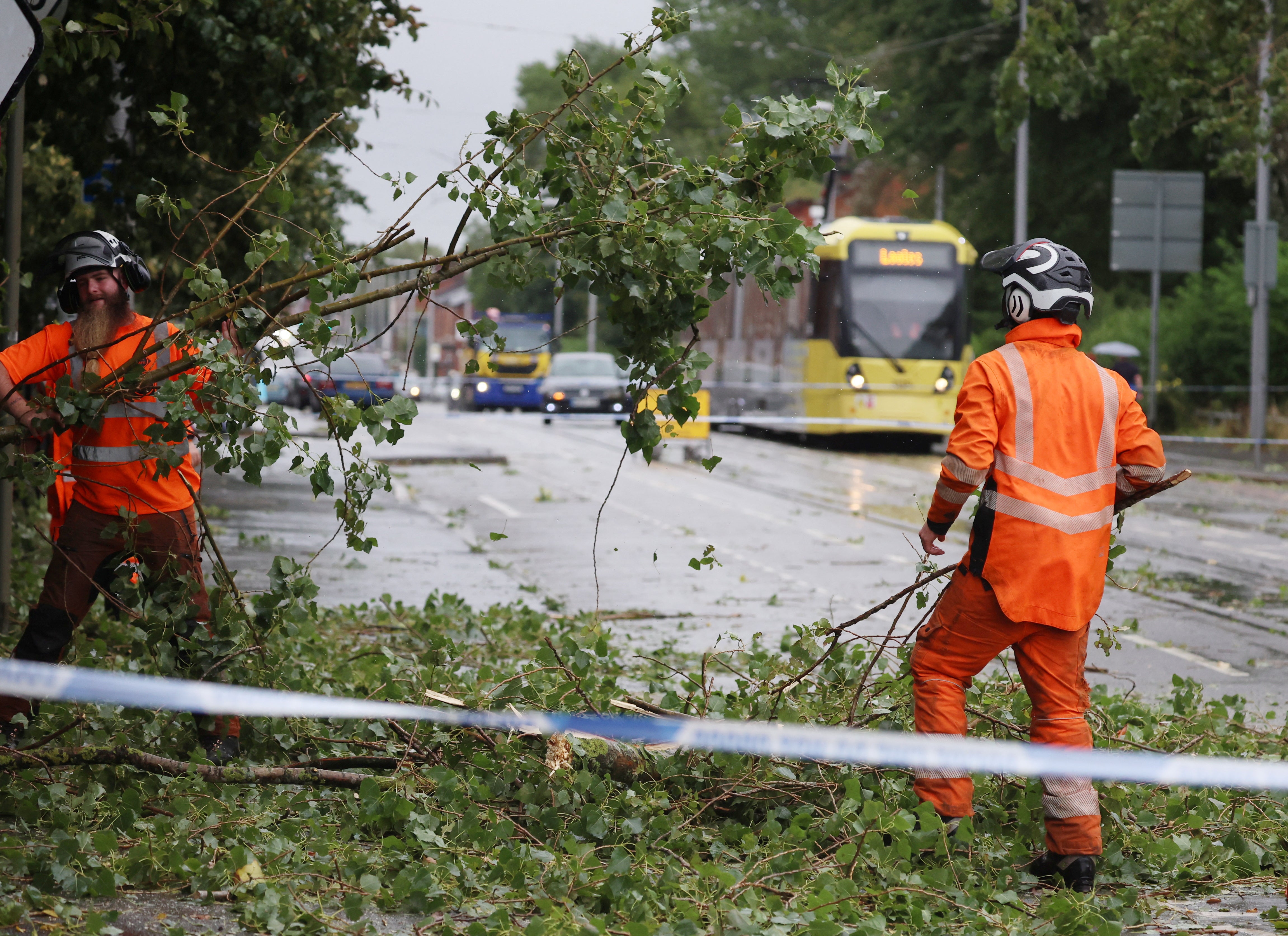 Roads had to be urgently cleared after collapsed trees