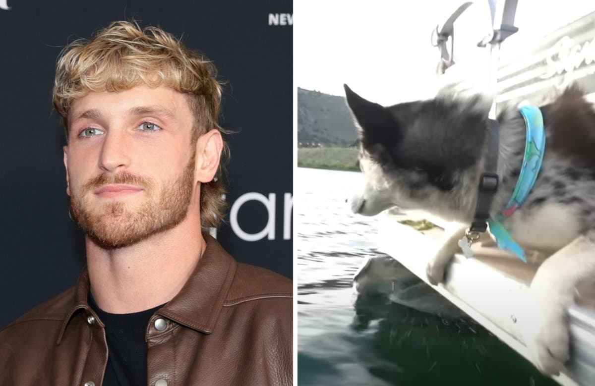 Logan Paul responds to claims he &lsquo;pushed his dog off a boat&rsquo;
