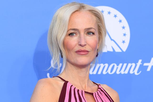 <p>Gillian Anderson at an event in 2022</p>