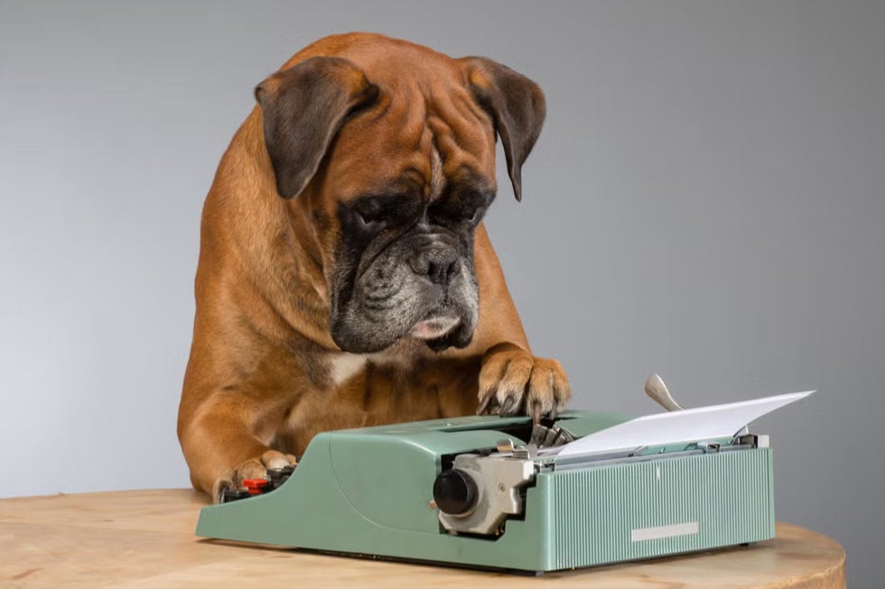 Dogs: a writer’s best friend – or worst enemy?