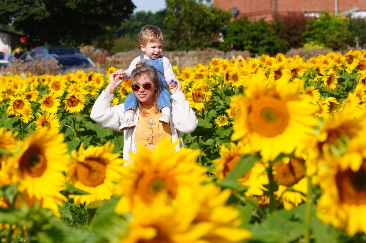 ‘Iberian blast’ to bring warmer weather to UK after festival washouts