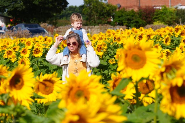 <p>Warm air from Iberia is expected to travel north and will come to parts of southern England on Wednesda </p>