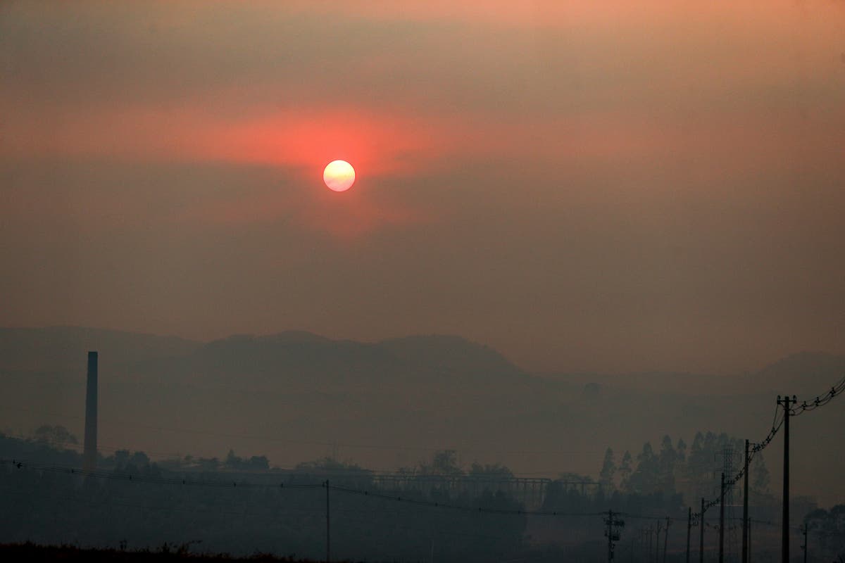 Severe Wildfires Crisis in Brazil's Sao Paulo State