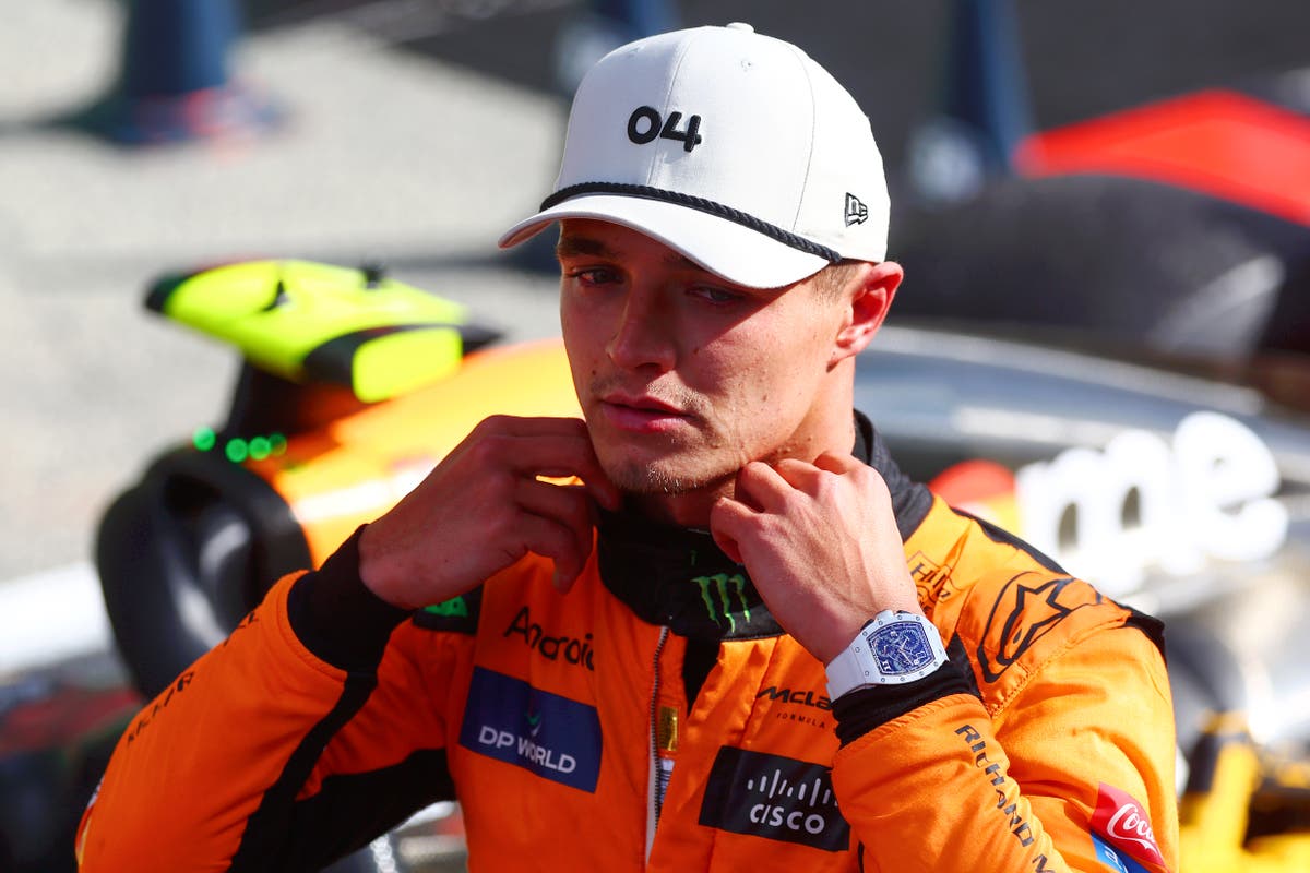 Damon Hill sends message to Lando Norris and McLaren: ‘Don’t give away points in F1 title fight’