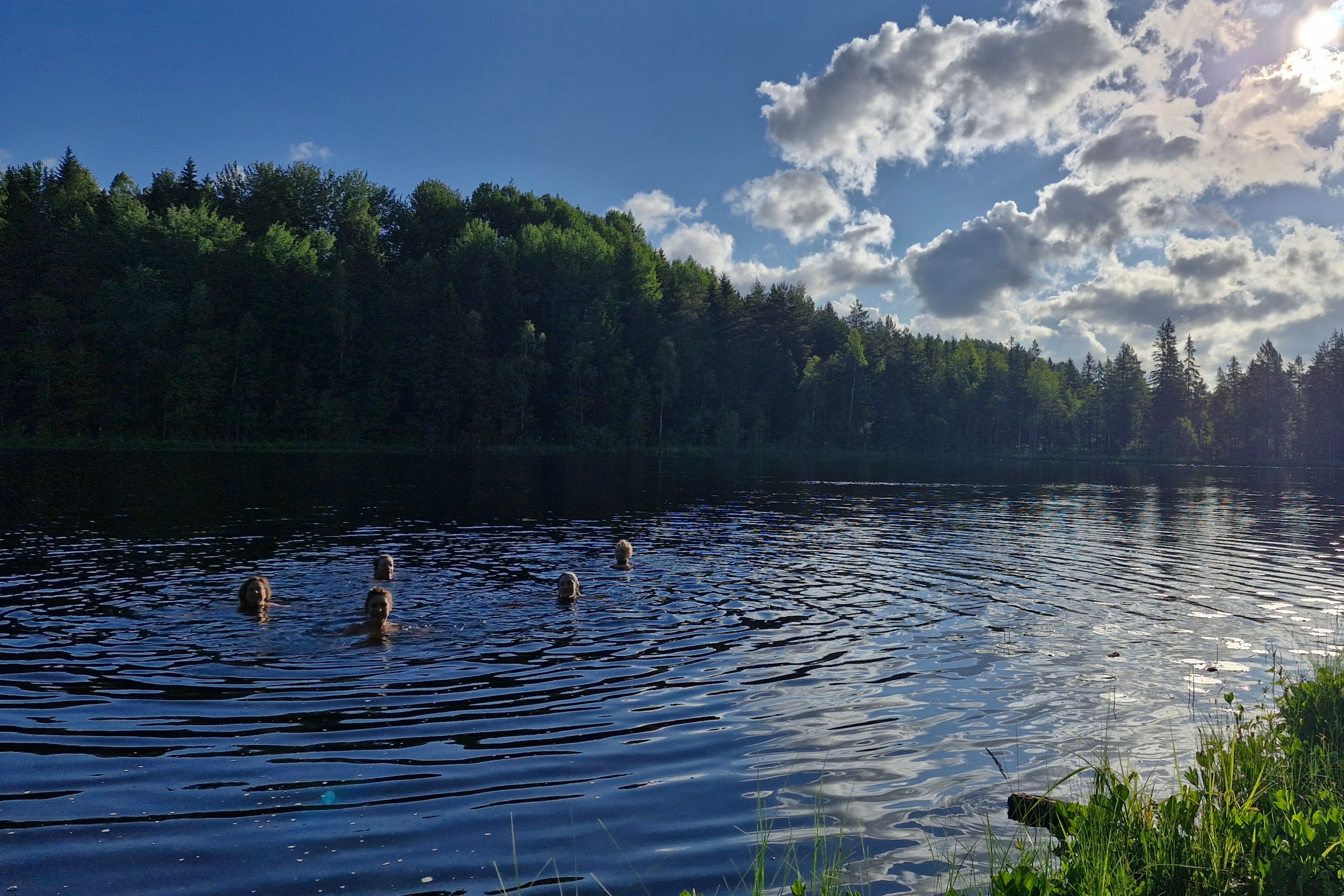 Taking an early morning dip at North Korvemaa nature reserve surrounded by a reserve of protected pine trees