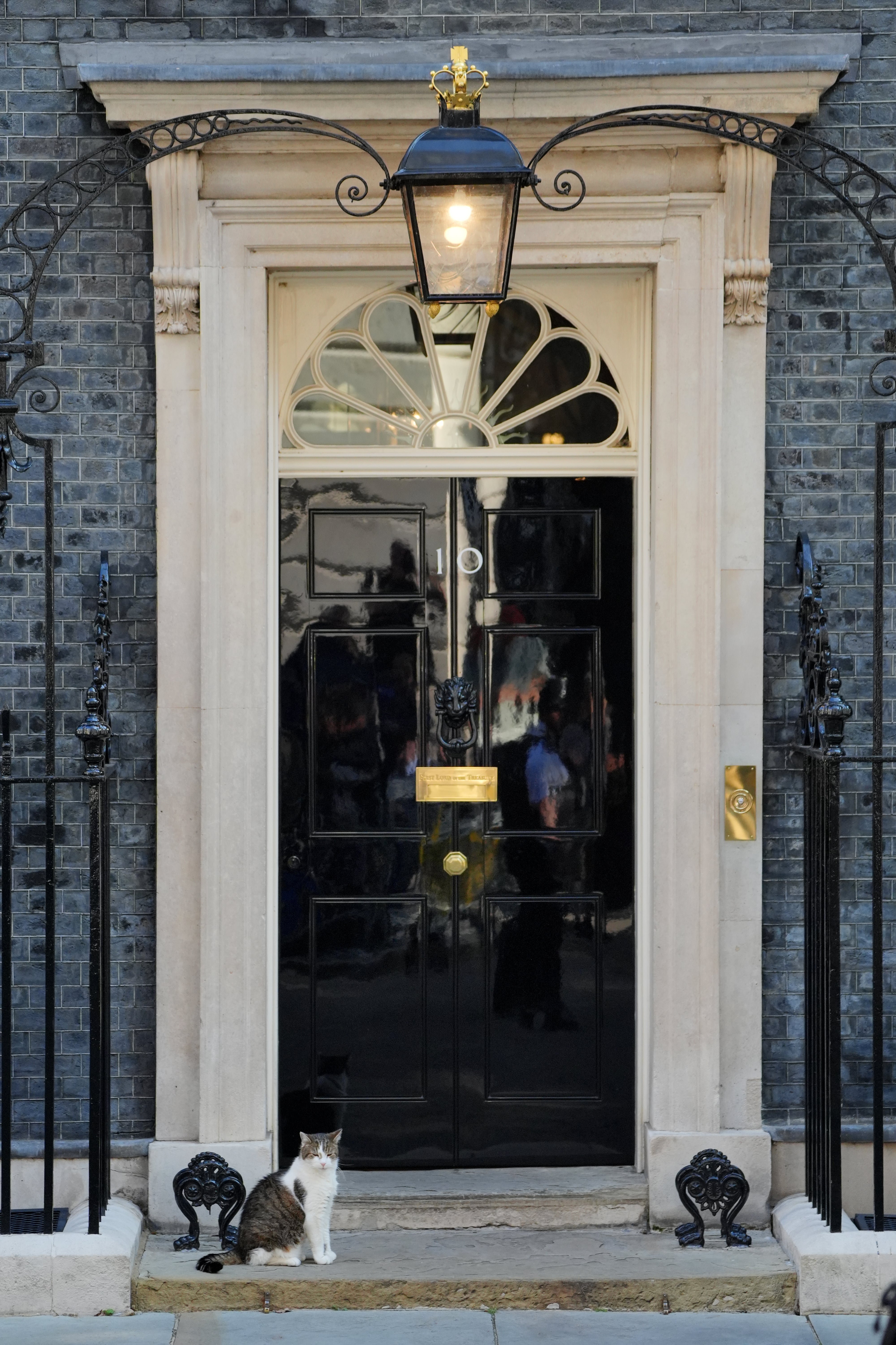 The cat was first brought to Downing Street by David Cameron as a pet for his children and has since outlived five Prime Ministers.