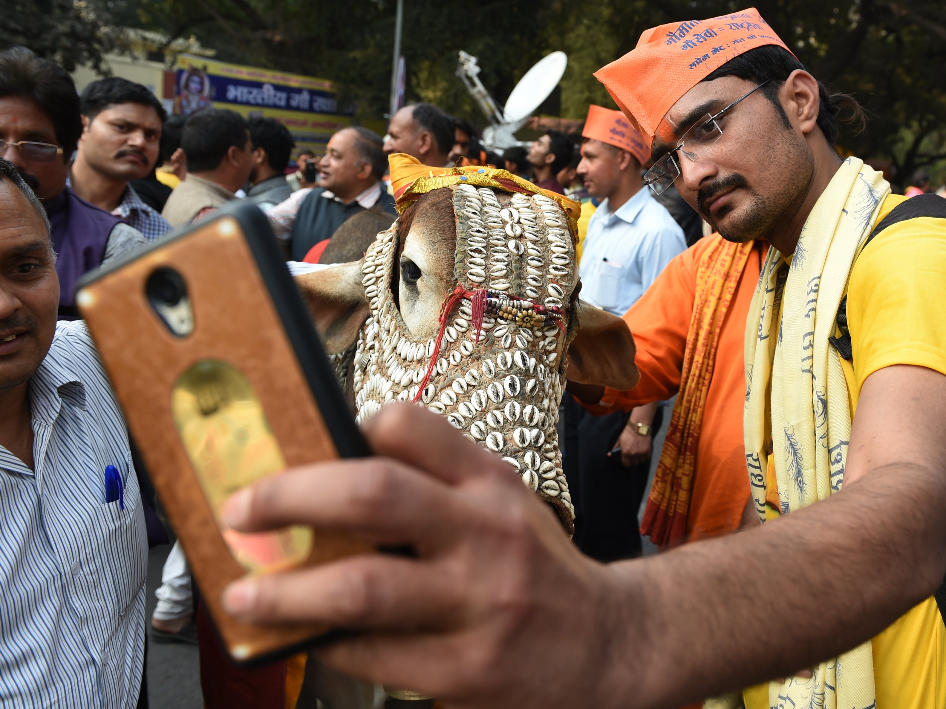 A member of the Bharatiya Gau Kranti Manch group takes a selfie with a cow during a demonstration against the slaughter of cows and in favour of honouring them in Delhi in February 2016