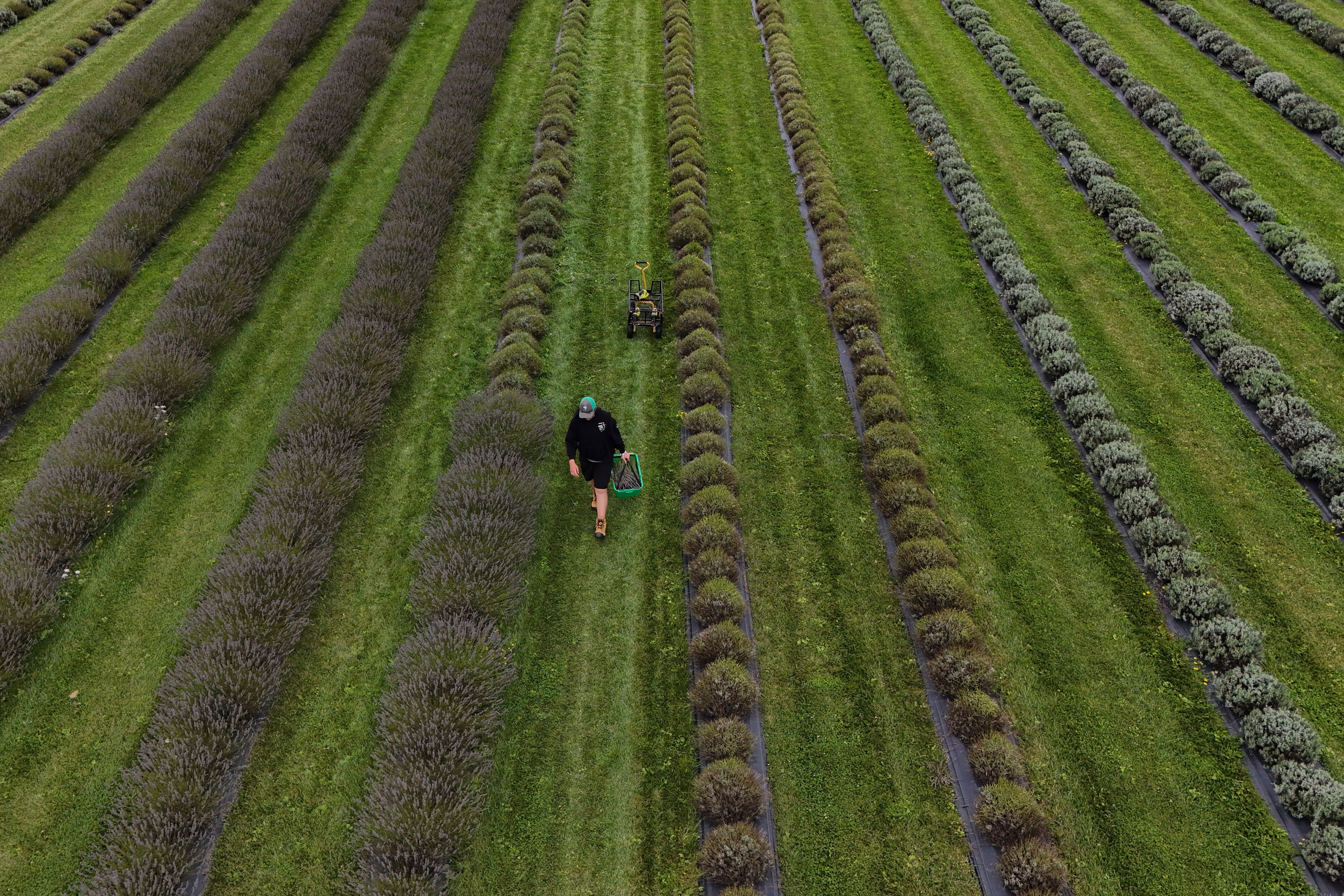 Climate Heat Skincare Sustainability