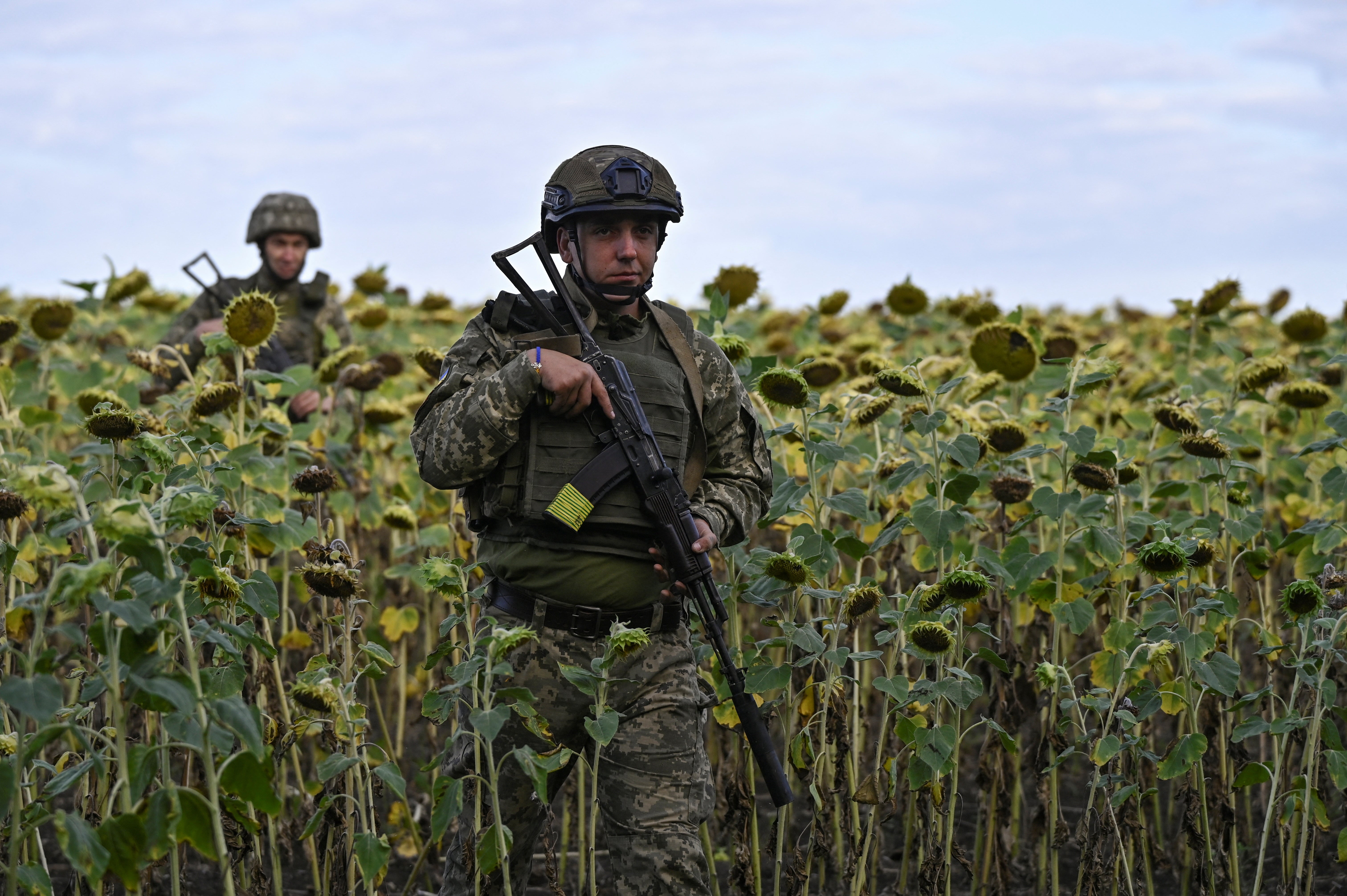 Ukraine servicemen walk among sunflowers, to their position outside the town of Pokrovsk, amid Russia's attack on Ukraine, in Donetsk region, Ukraine