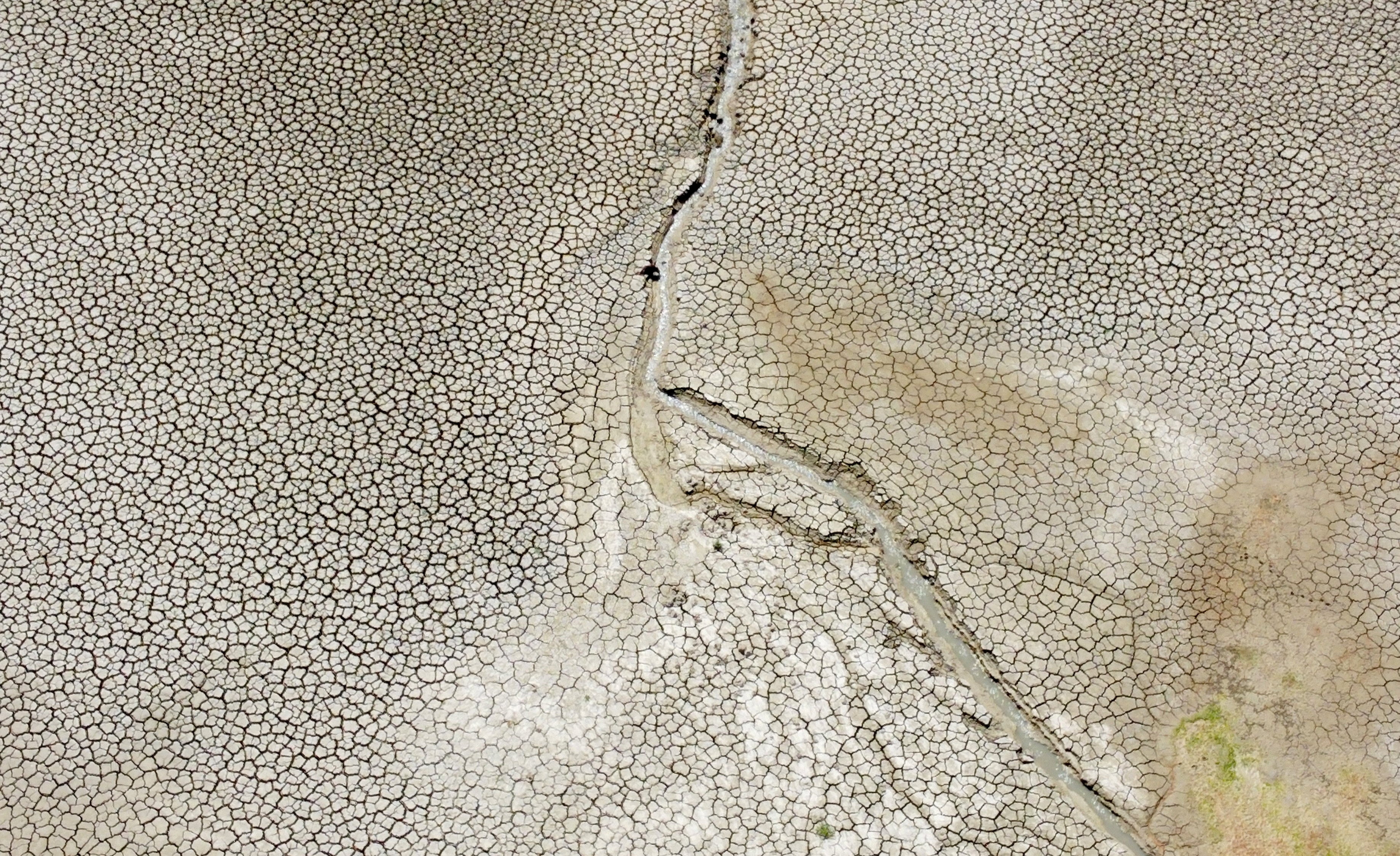 A drone picture shows an animal drinking water at Fanaco Lake following a drought on the Italian island of Sicily, in Palermo, Italy