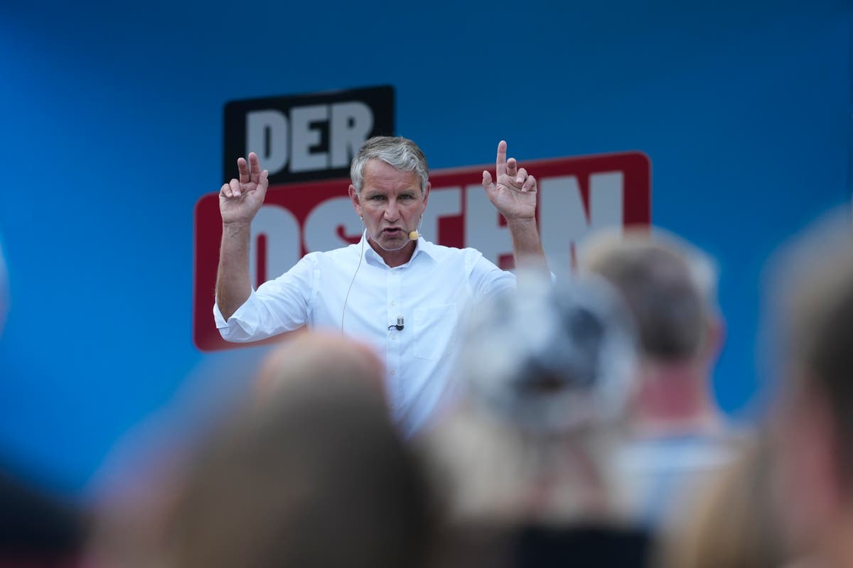 Far-Right AfD Expected to Win Elections in East Germany